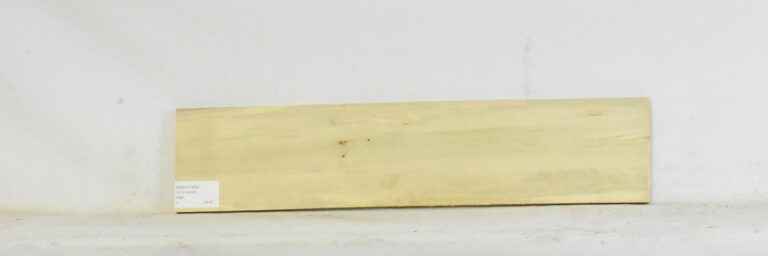 HOLLY1250_1