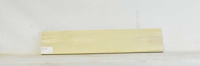HOLLY1255_1