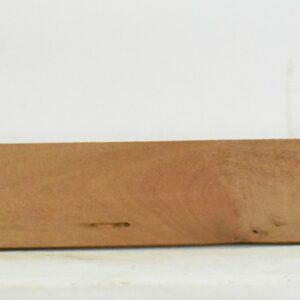 LEOPARD1298_1