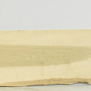 MAPCS1483_1