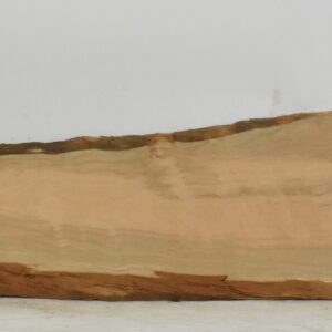 PEARSW1384_1