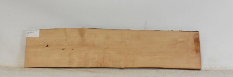 Pear - Swiss 8 PEARSW1396_1