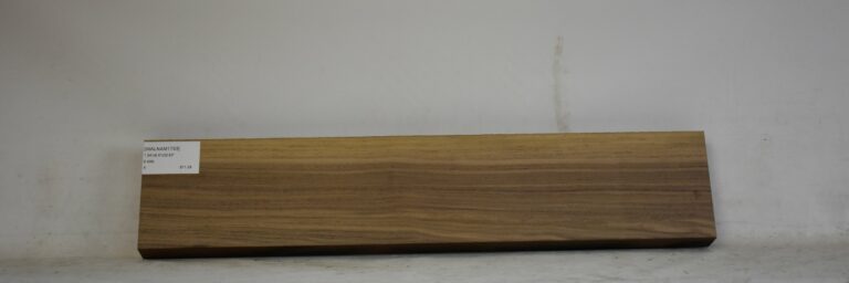 Walnut - American 7 WALNAM1793_1