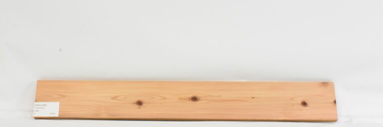 Cedar - Japanese 15 CEDJ1468_1