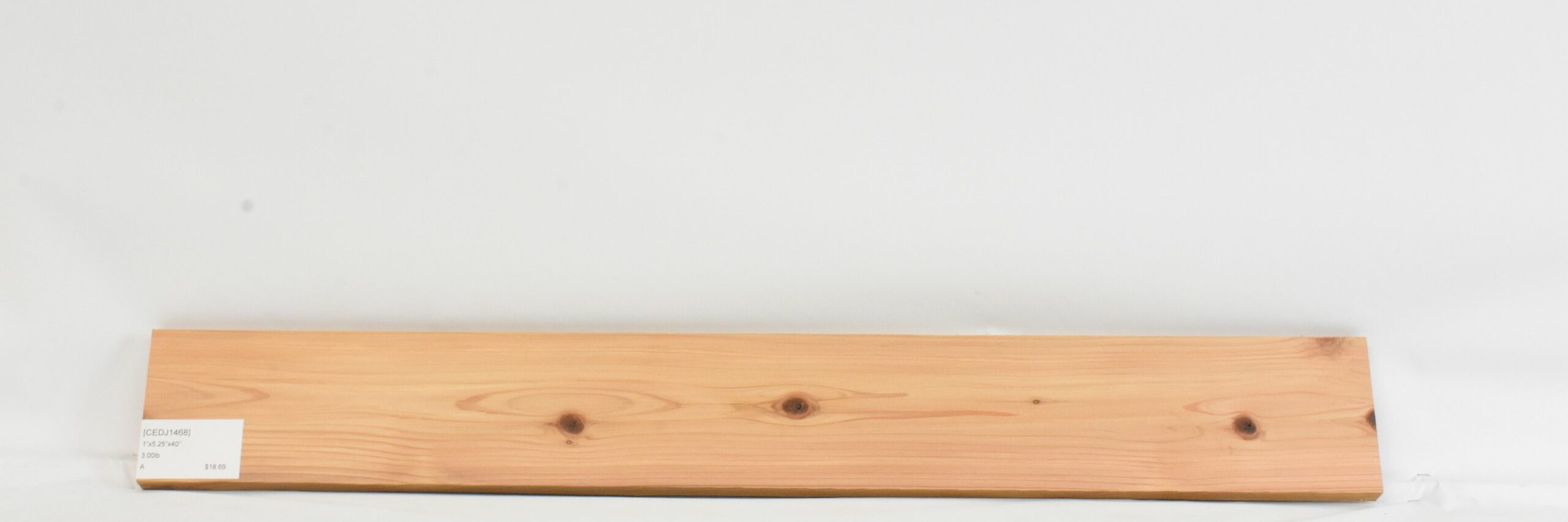 Cedar - Japanese 1 CEDJ1468_1