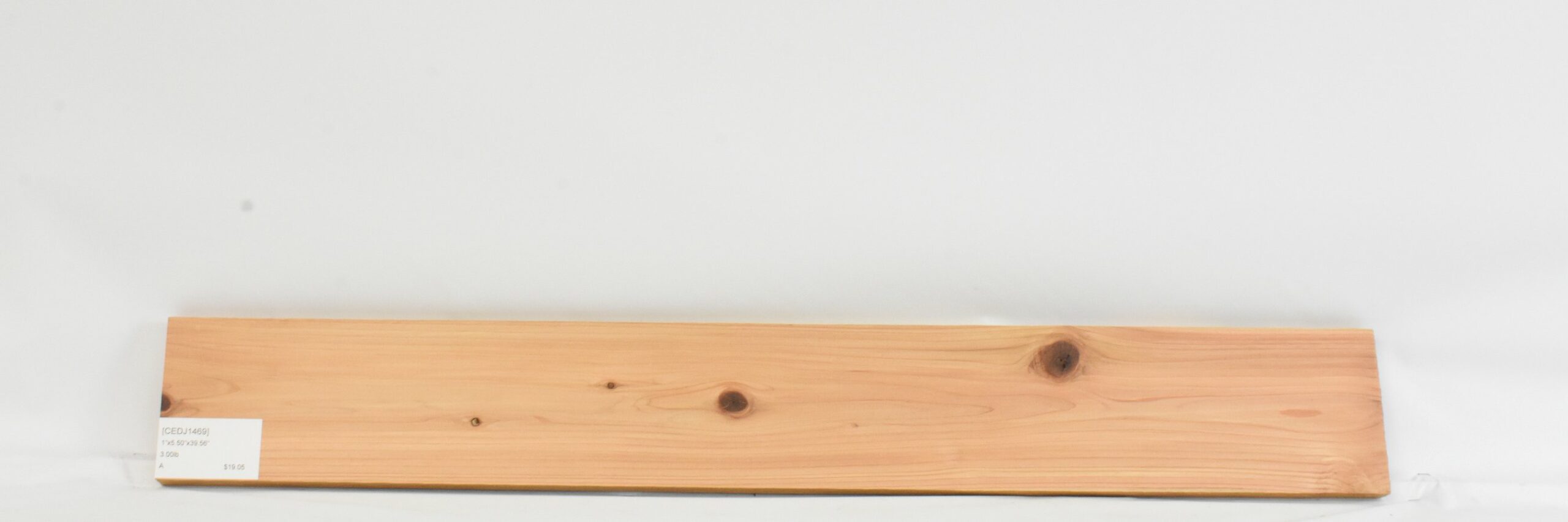 Cedar - Japanese 1 CEDJ1469_1