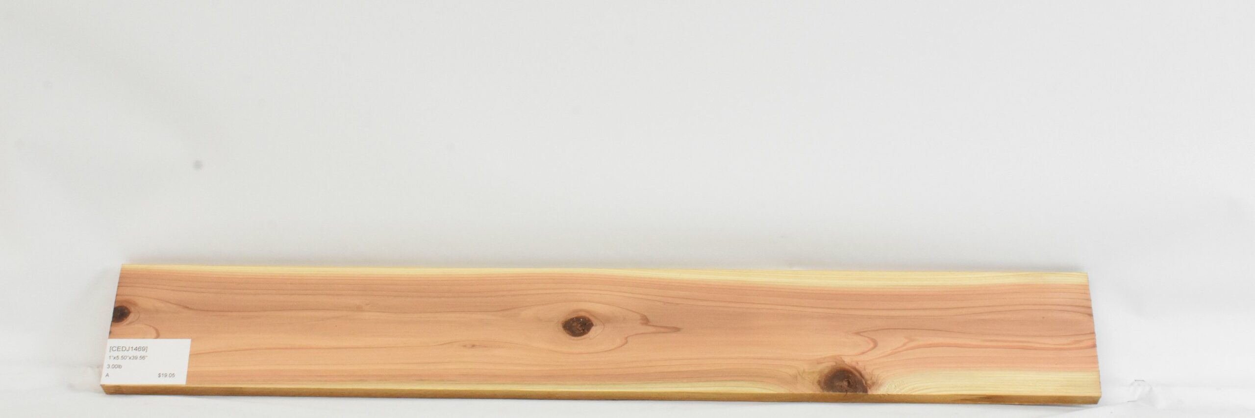 Cedar - Japanese 2 CEDJ1469_2