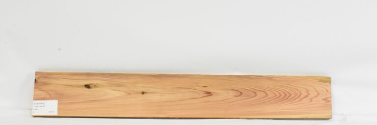 Cedar - Japanese 13 CEDJ1470_1