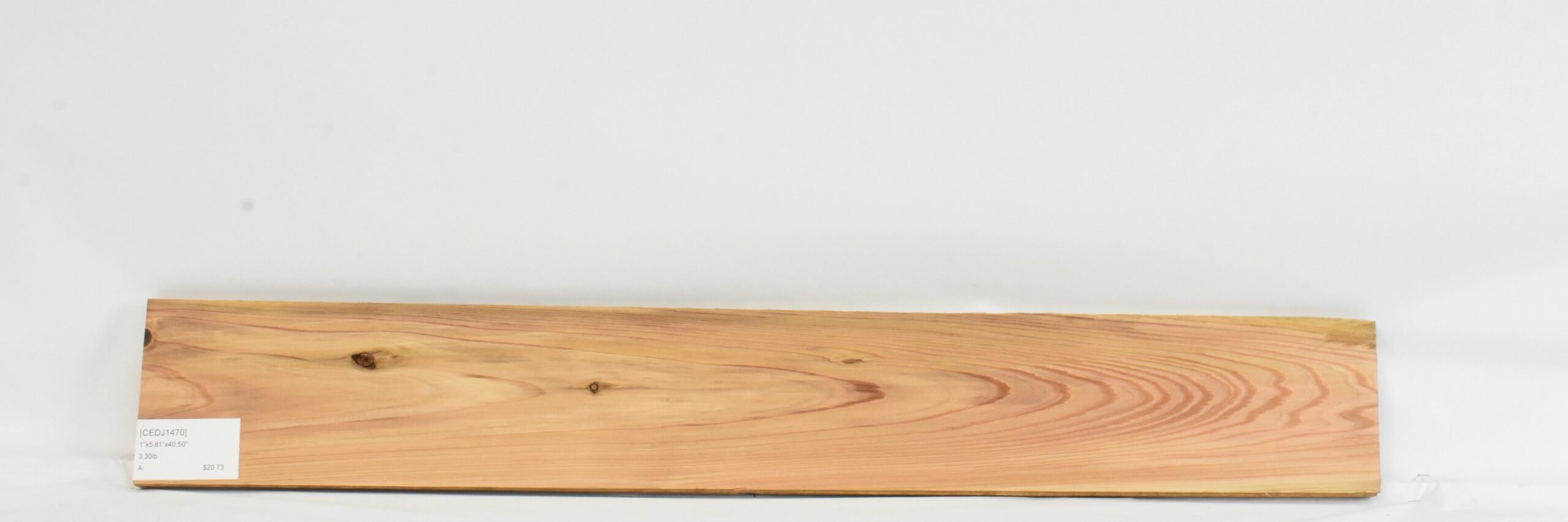 Cedar - Japanese 1 CEDJ1470_1