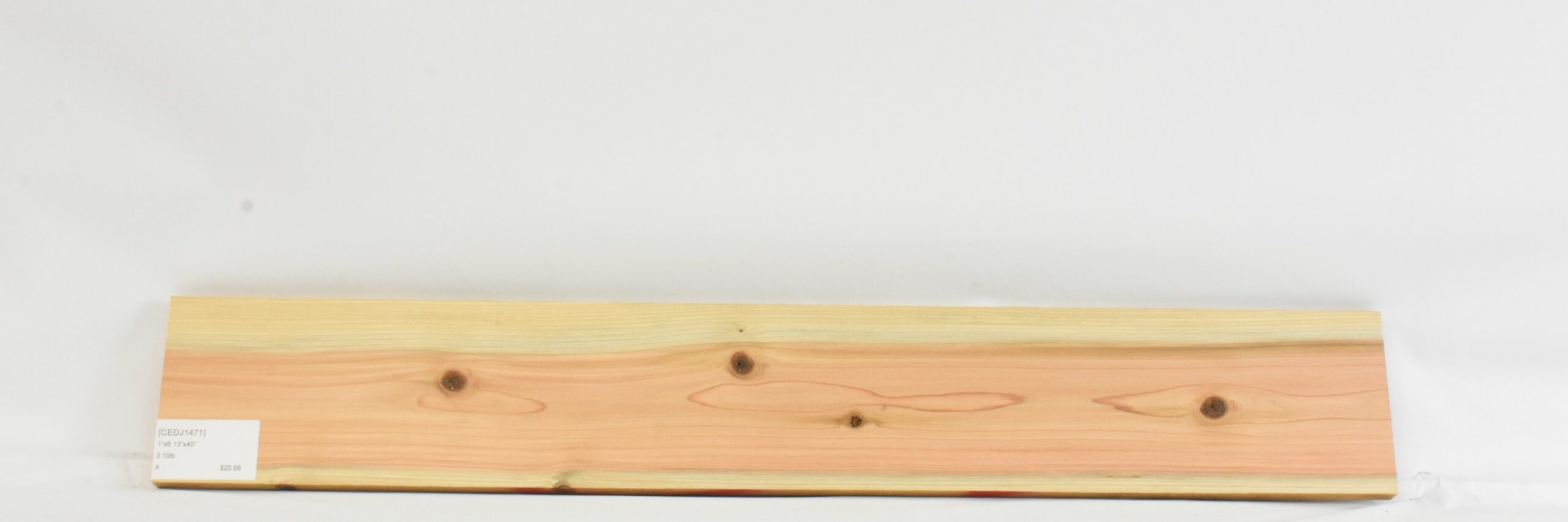 Cedar - Japanese 1 CEDJ1471_1