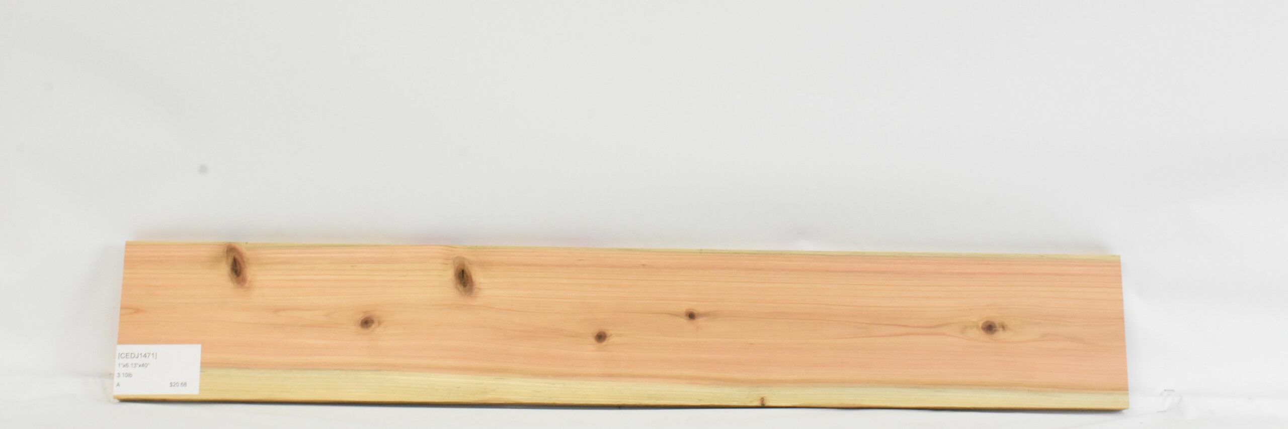 Cedar - Japanese 2 CEDJ1471_2