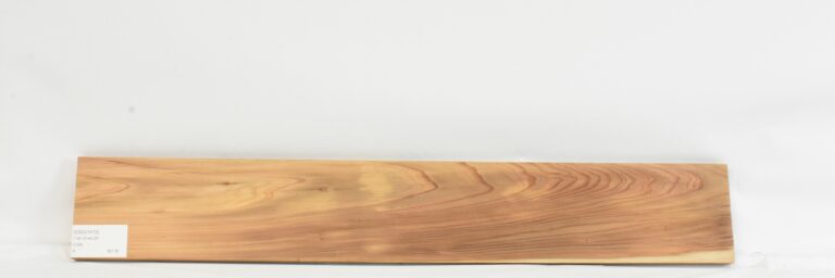 Cedar - Japanese 11 CEDJ1472_1