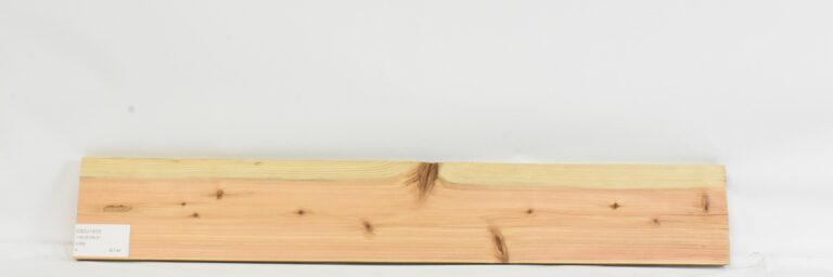 Cedar - Japanese 10 CEDJ1473_1