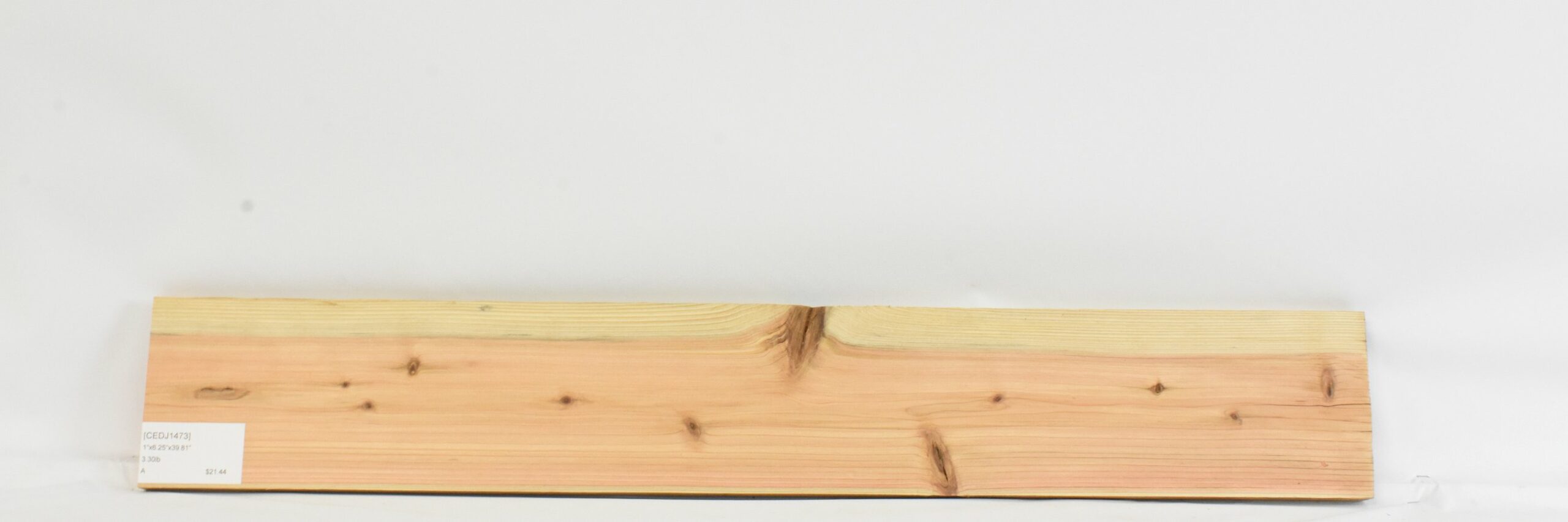 Cedar - Japanese 1 CEDJ1473_1