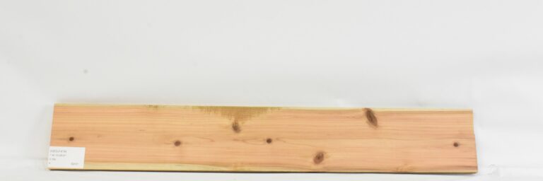 Cedar - Japanese 9 CEDJ1474_1