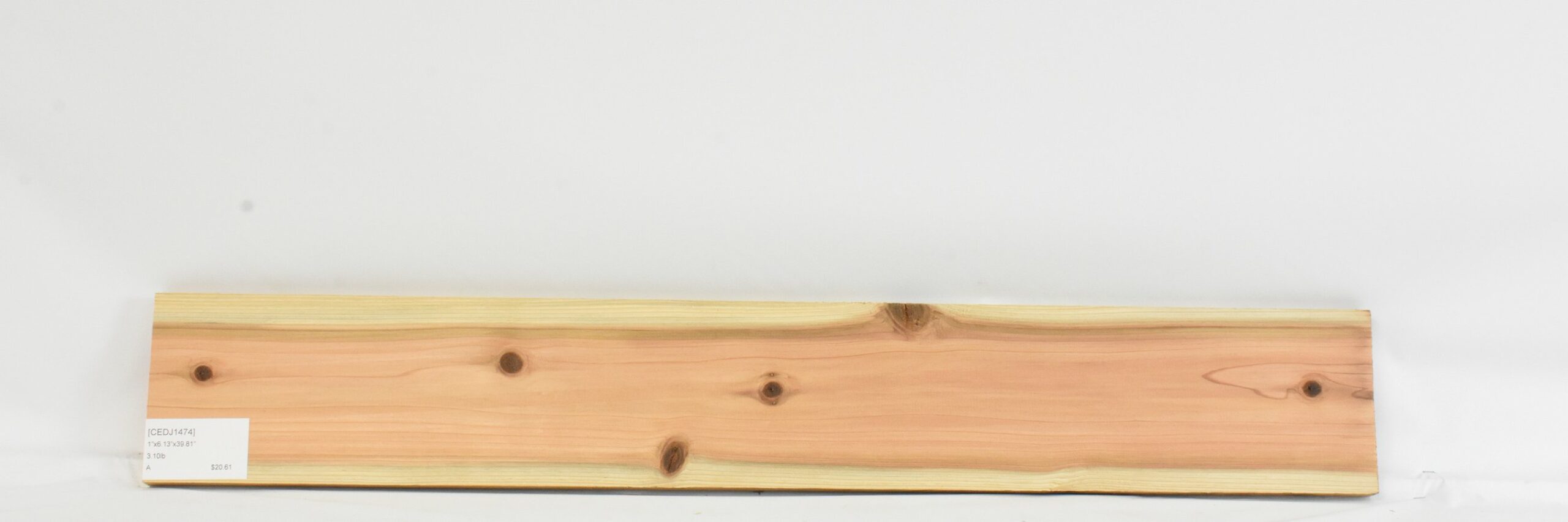 Cedar - Japanese 2 CEDJ1474_2