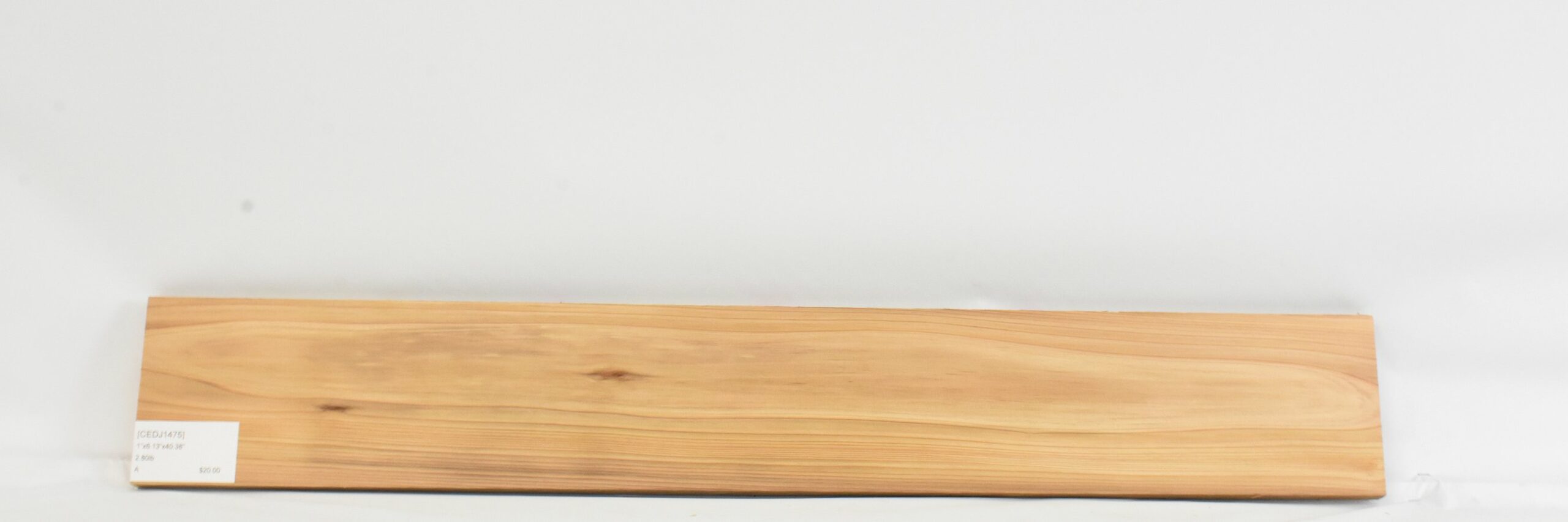Cedar - Japanese 1 CEDJ1475_1