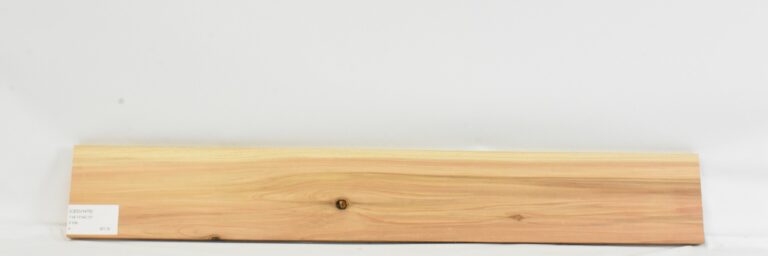 Cedar - Japanese 7 CEDJ1476_1