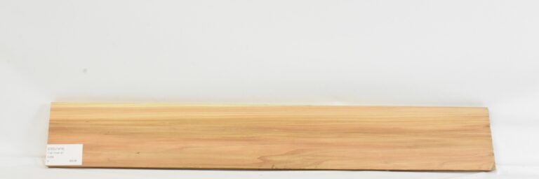 Cedar - Japanese 5 CEDJ1478_1