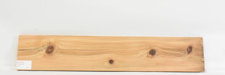Cedar - Japanese 3 CEDJ1480_1