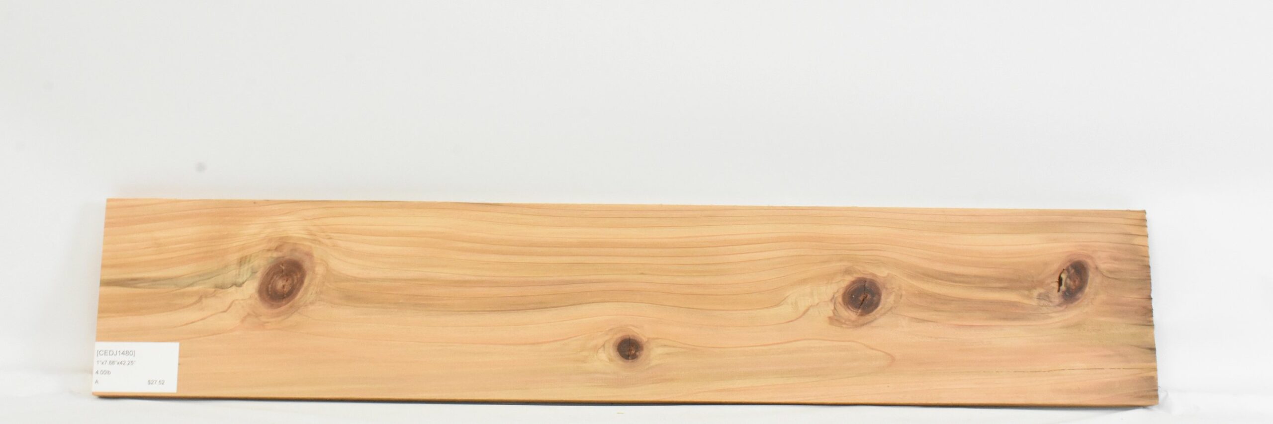 Cedar - Japanese 1 CEDJ1480_1