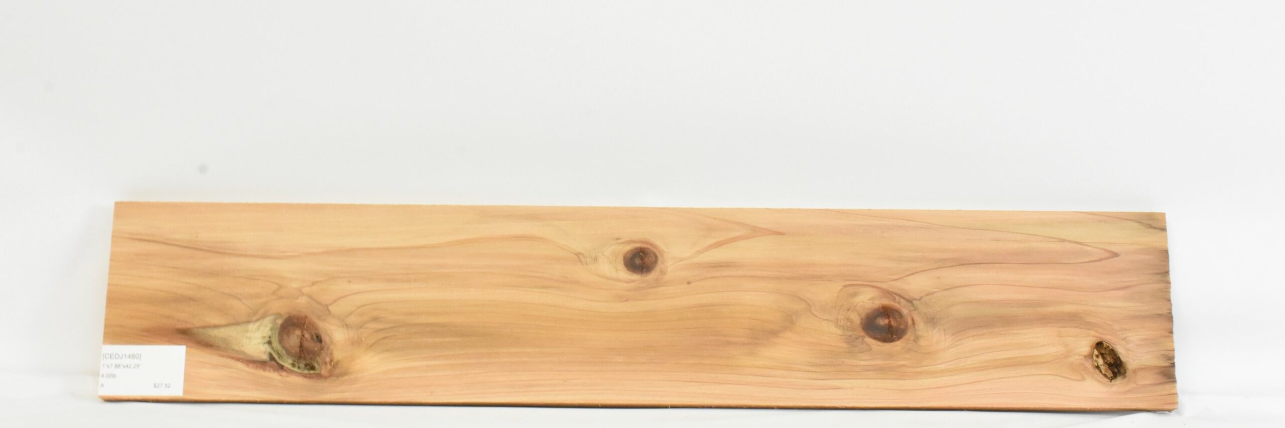 Cedar - Japanese 2 CEDJ1480_2