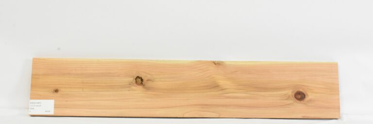 Cedar - Japanese 3 CEDJ1481_1