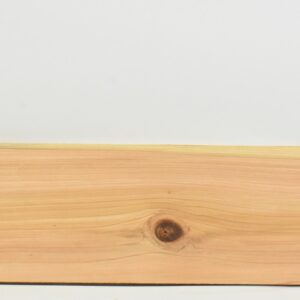CEDJ1487_1