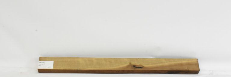 IMB1181_1