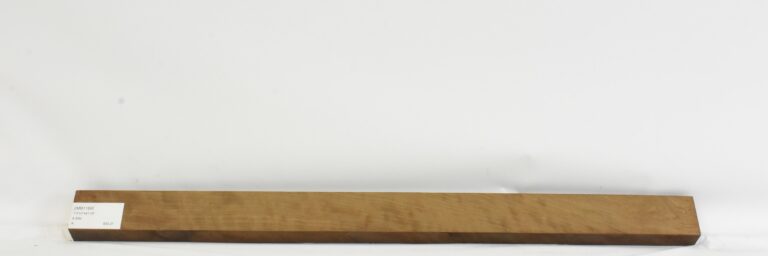 IMB1189_1