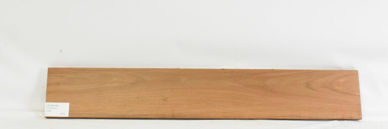 JATOB1194_1