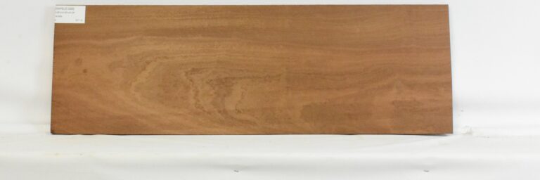 SAPELE1265_1