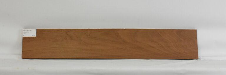 Sapele 12 SAPELE1276_1