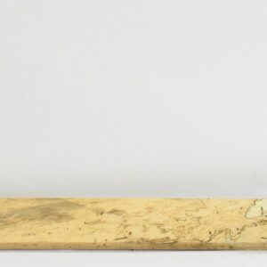 TAMSP1071_1