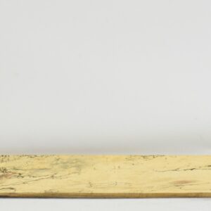 TAMSP1073_1