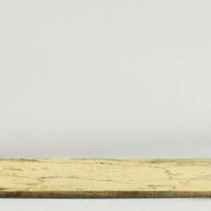 TAMSP1074_1