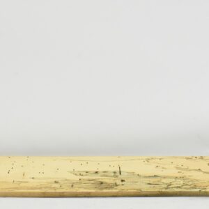 TAMSP1075_1