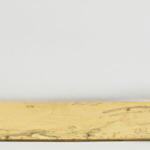 TAMSP1078_1