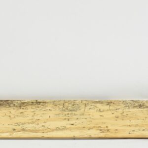 TAMSP1081_1
