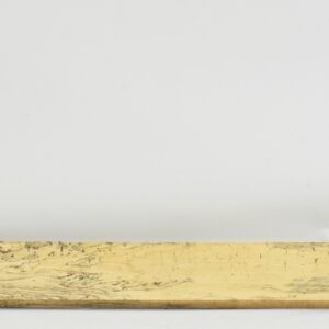 TAMSP1091_1