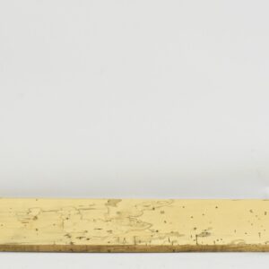 TAMSP1092_1
