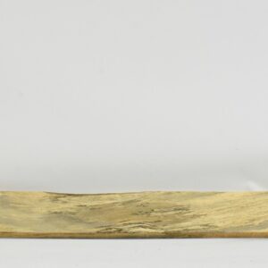 TAMSP1093_1