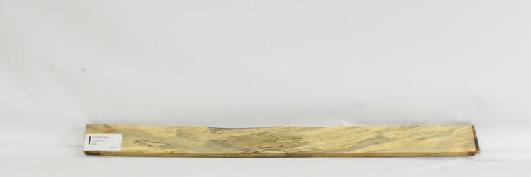 TAMSP1093_1