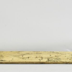 TAMSP1094_1