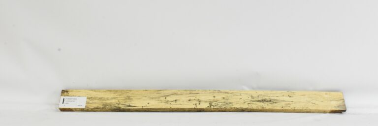 TAMSP1094_1