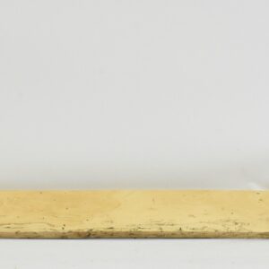 TAMSP1095_1