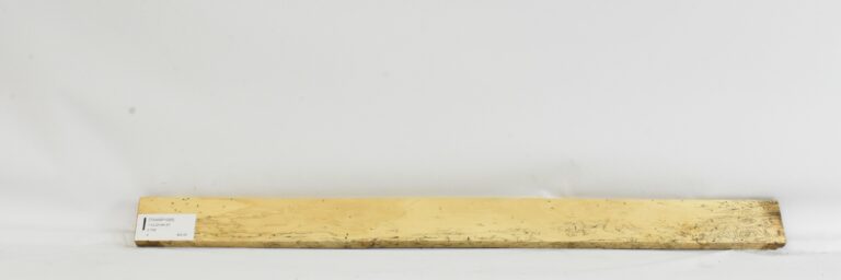 TAMSP1095_1