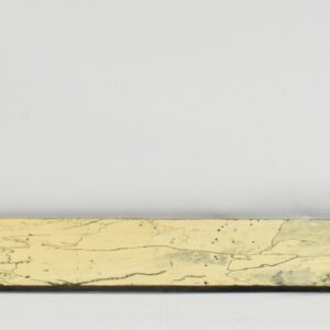 TAMSP1096_1