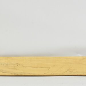 TAMSP1097_1