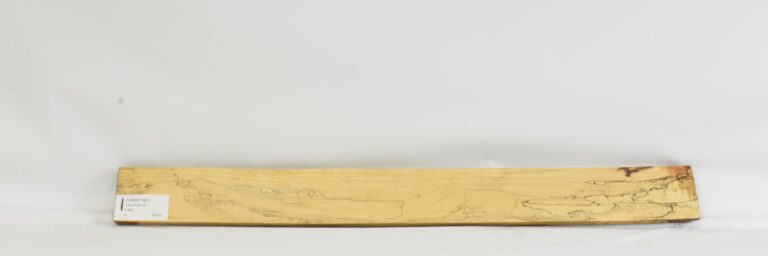 TAMSP1097_1